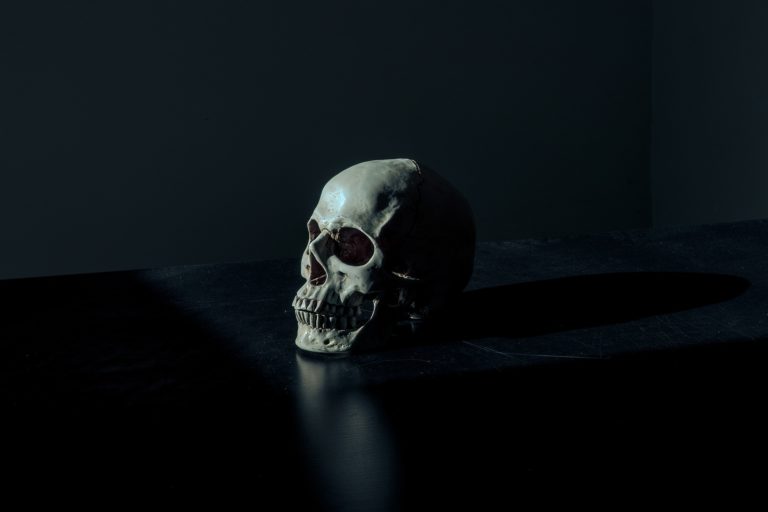 Why Understanding Death Is Critical